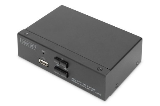 KVM switch - 2 ports DS-12870