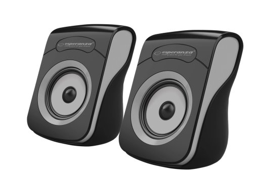 Speakers 2.0 USB Flamenco black/grey