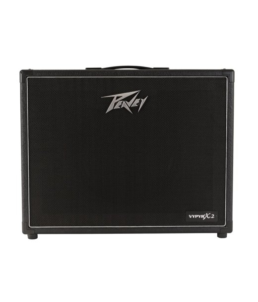 Peavey Electronics VYPYR X2 - 40W guitar amplifier