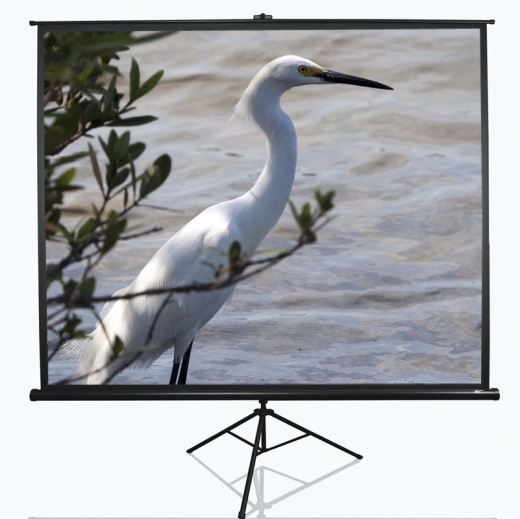 Elite Screens Tripod Series T100UWV1 Diagonal 100 " 4:3 Viewable screen width (W) 203 cm Black