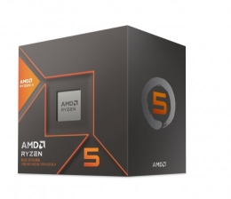 Processor Ryzen 5 8600G 100-100001237BOX