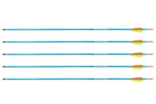 Poe Lang Target 30" D-016-BAluminium arrows 5 pcs Blue
