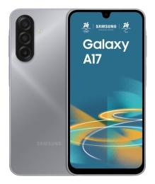 Samsung Galaxy A17 17 cm (6.7") Hybrid 4G USB Type-C 4 128 5000 mAh Grey