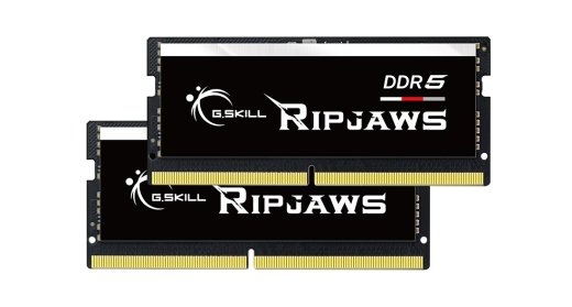 G.Skill Ripjaws F5-4800S3434A16GX2-RS memory module 32 2 x 16 DDR5 4800 MHz