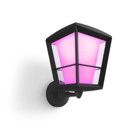 Philips Hue WCA Econic Outdoor Wall Lantern Up 15 W 2000-6500 Hue White Colour Ambiance