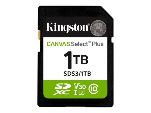 Kingston Flash-Card Canvas Select Plus - SDXC UHS-I - 1 TB