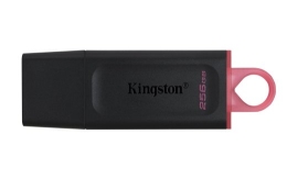 MEMORY DRIVE FLASH USB3.2/256GB DTX/256GB KINGSTON