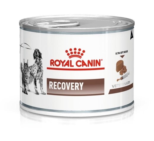 ROYAL CANIN Recovery - Wet dog and cat food - 195g