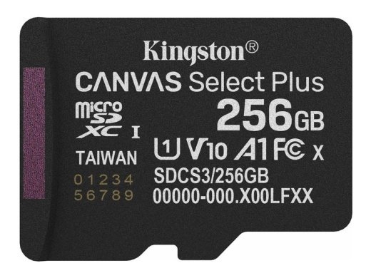 Kingston Flash-Card Canvas Select Plus - microSDXC UHS-I - 256