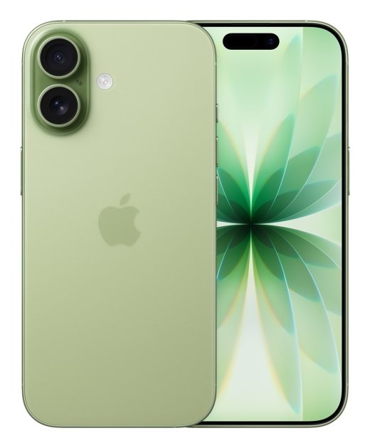Apple iPhone 17 16 cm (6.3") iOS 26 USB Type-C 256 Sage