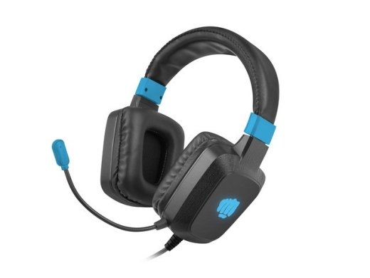 Gaming Headset Fury Raptor