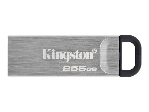 Kingston USB flash drive DataTraveler Kyson - USB 3.2 Gen 1 - 256 - silver