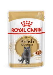 ROYAL CANIN British Shorthair packet 12x85g