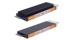 Kioxia SSD XD7P 3840GB E1.S NVMe Gen.4 1x4 DWPD 1 3D TLC BiCS Flash Data Center NVMe SED PLP