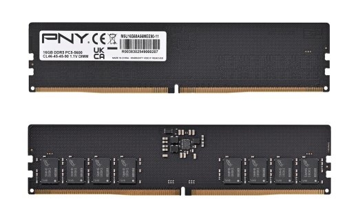 PNY Performance DDR5 5600MHz 16G memory module 16 1 x 16 288-pin DIMM