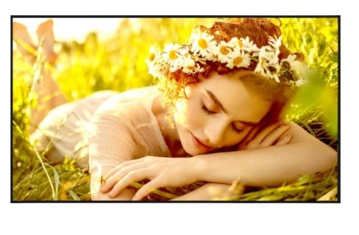 LG Electronics Monitor 50UL5Q-E 500cd/m2 UHD 24/7