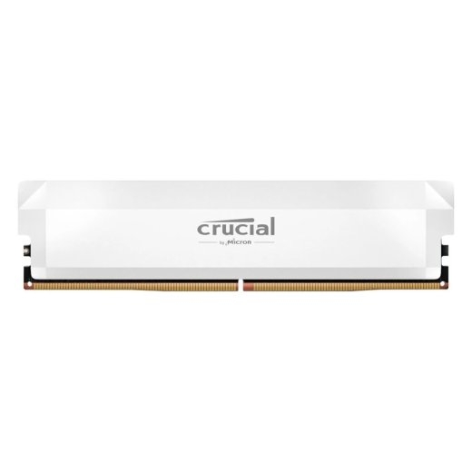 Crucial Pro OC - DDR5 - module - 16 - DIMM 288-pin / PC5-51200 - unbuffered