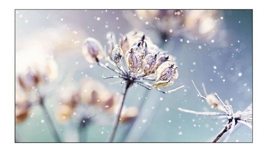 Professional monitor VM46B-U 46 inch Video wall Mat 24h/7 500(cd/m2) 1920 x 1080(FHD) N/A 3 years On-Site (LH46VMBUBGBXEN)