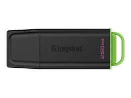 Kingston USB Flash Drive DataTraveler Exodia 256 USB 3.2 Gen 1 Black