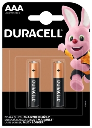 Duracell Basic MN2400 AAA 2 pc(s)