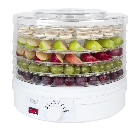 Dryer for mashrooms, vegetables, fruits