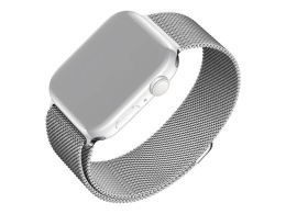 Fixed Mesh Strap for Apple Watch 42/44/45/46/49mm Silver