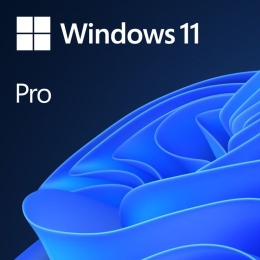 Windows 11 Pro - license - 1 license