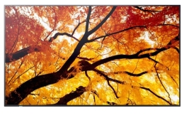 Sharp Monitor MultiSync M502 50 inches 550cd/m2 24/7