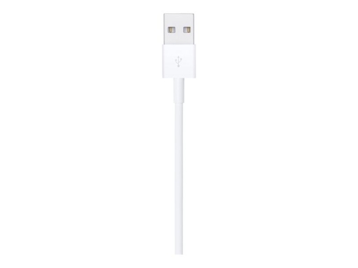 Apple Lightning cable - Lightning / USB - 1 m