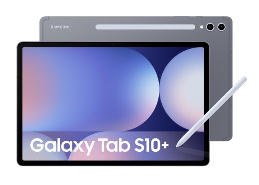 Samsung S10+ 512 31.5 cm (12.4") 12 Android 14 Grey