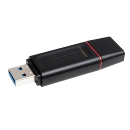 Kingston DataTraveler Exodia - USB flash drive - 256