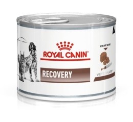 ROYAL CANIN Recovery - Wet dog and cat food - 195g