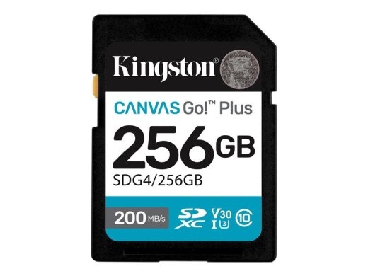 Kingston Flash-Card Canvas Go! Plus - SDXC UHS-I - 256