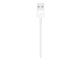 Apple Lightning cable - Lightning / USB - 1 m