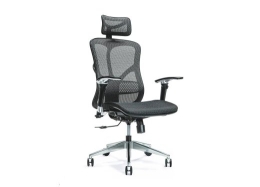 Ergonomic office chair ERGO 500 black