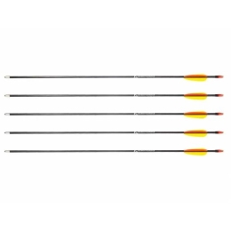 Poe Lang 28’ fibreglass arrows - set of 5 (D-055-B3)