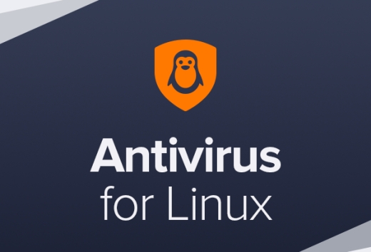 Avast Business Antivirus for Linux, New electronic licence, 1 year, volume 1-4, 1 year, 4 user