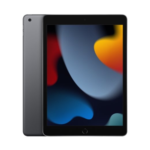 Apple iPad 10.2 9.Gen 256GB WiFi Grey