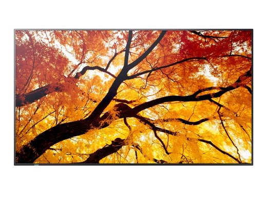 Sharp Monitor M652 65 inches 24/7 550cd/m2