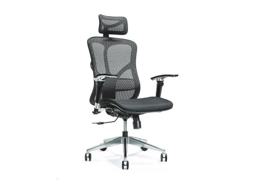 Ergonomic office chair ERGO 500 black