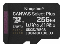 Kingston Flash-Card Canvas Select Plus - microSDXC UHS-I - 256
