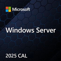OEM Win Svr CAL 2025 Device ENG 1Clt EP2-25225