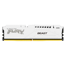 Kingston RAM FURY Beast - 32 - DDR5 5600 UDIMM CL40